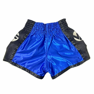 Vincere Muay Thai Shorts